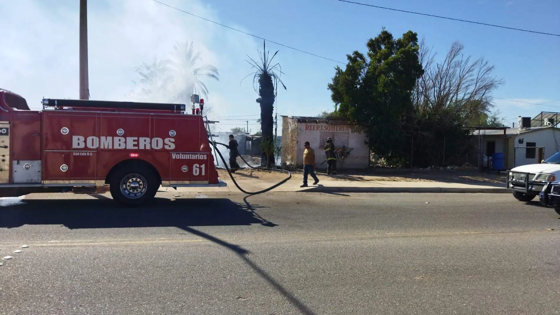 Por la avenida Juárez entre calles 34 y 35, incendio de basura causó dalos a una palmera y un cuarto abandonado, hoy al mediodía. El incendiario no fue localizado por la policía